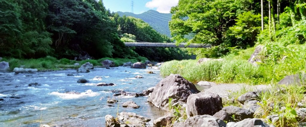 緑に囲まれた清流が流れる風景