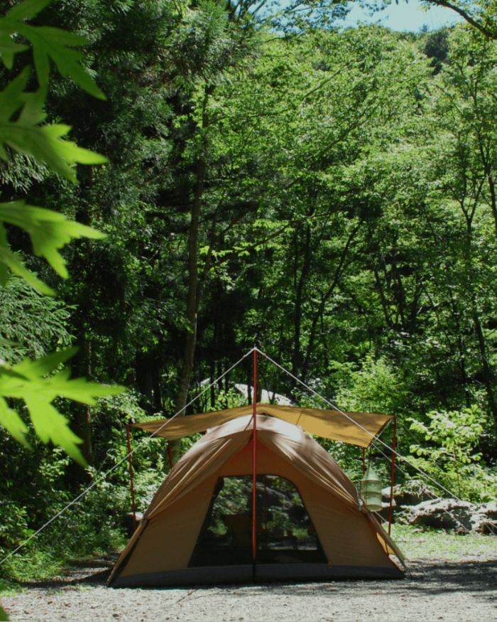 木が生い茂るキャンプ場に佇む茶色いテント