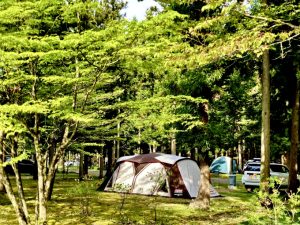 新緑に囲まれた森のキャンプ場に設置されたテントと車の風景